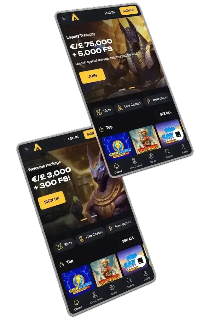 Bonus Categories at Amon bet Casino